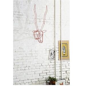 Gazelle Head trophy GAURAV NANDA